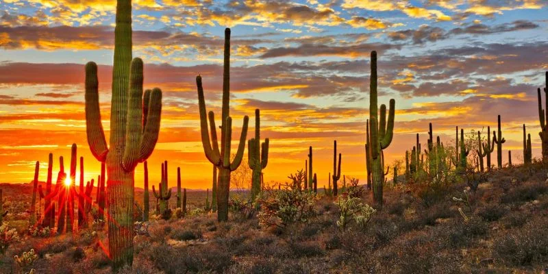 Sun Country Airlines Phoenix Office In Arizona