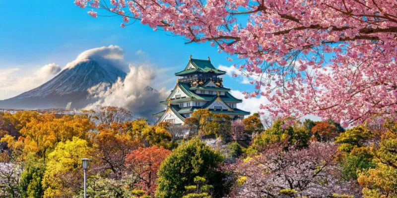 Air Canada Rouge Osaka Office in Japan