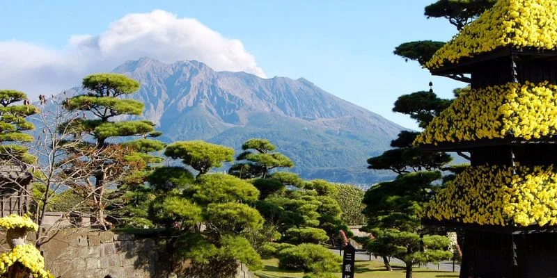 Kagoshima Office in Japan