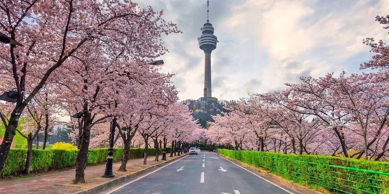 Daegu Office in South Korea