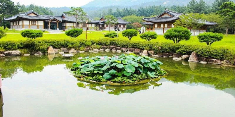 Muan-gun Office in South Korea