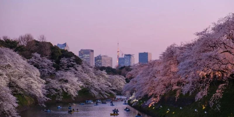 Tokyo Office in Japan